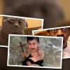 Tổng hợp bộ sưu tập meme hài hước về những nỗi sợ hãi độc đáo 2026
