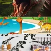 Best kids dinosaur pattern wallpaper for bedroom ideas in 2026