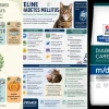 Effective dietary needs for diabetic cats managing blood sugar in 2026
