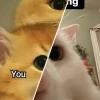 Meme Tình Yêu Hài Hước Vui Nhộn: Sự Thật Đằng Sau Những Khung Hình Ngọt Ngào?