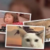 Meme tổng hợp những câu nói hay và triết lý hài hước nhất