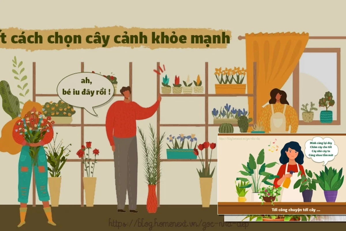 Giải đáp những câu hỏi về chăm sóc cây cảnh trong nhà giúp cây xanh tốt