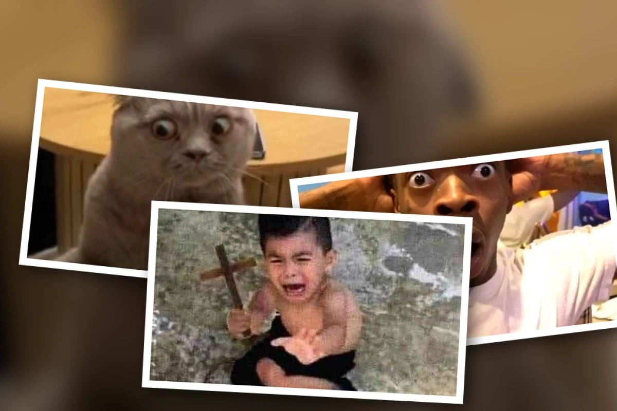 Tổng hợp bộ sưu tập meme hài hước về những nỗi sợ hãi độc đáo 2026