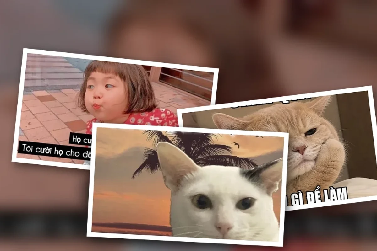Meme tổng hợp những câu nói hay và triết lý hài hước nhất