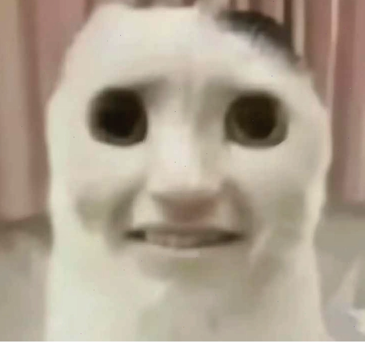 Biểu cảm meme sợ hãi siêu hài khiến ai cũng bật cười