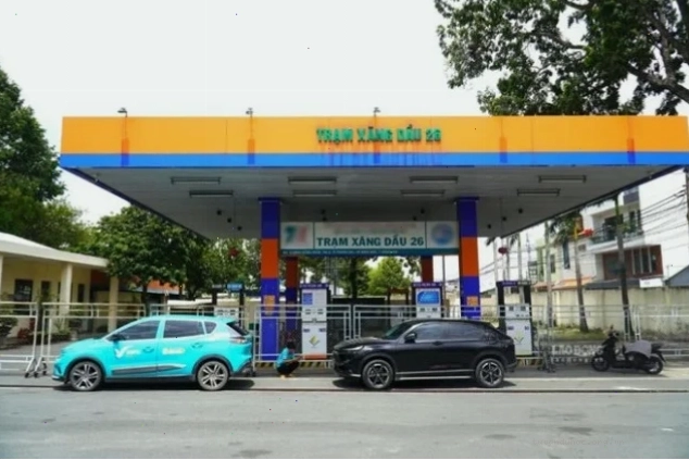 Bảng tra cứu loại cây hợp mệnh khi chọn ngày tốt trồng cây cảnh tháng 1 dương lịch