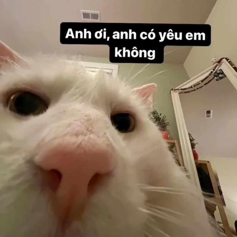 Biểu cảm ngộ nghĩnh trong meme tình yêu hài hước vui nhộn