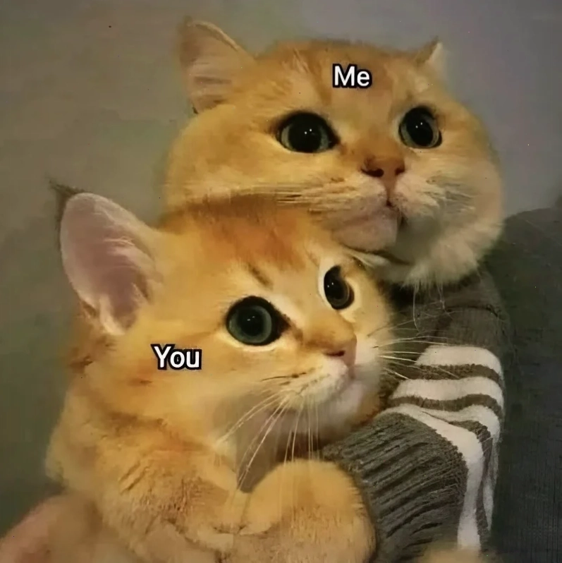 Khoảnh khắc lãng mạn được chế lại thành meme tình yêu hài hước vui nhộn