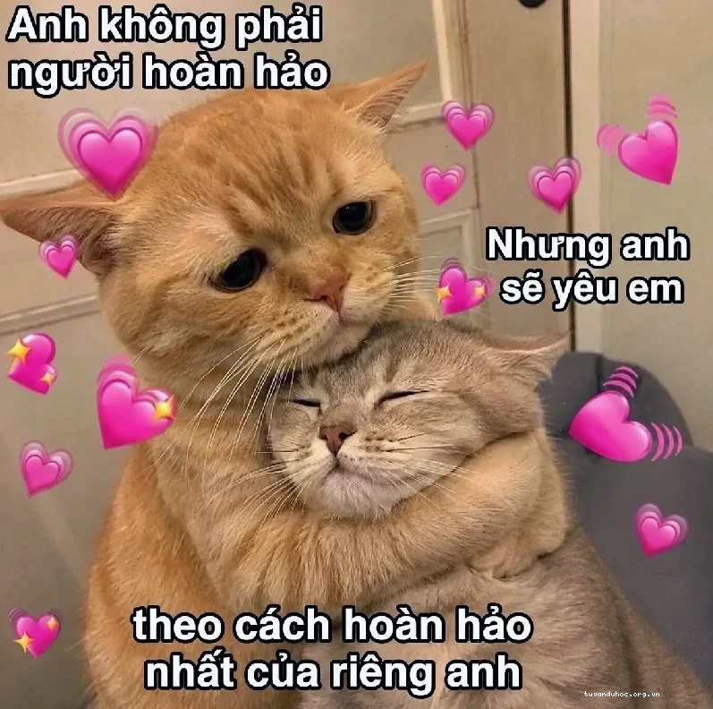 Meme tình yêu hài hước vui nhộn với biểu cảm đáng yêu