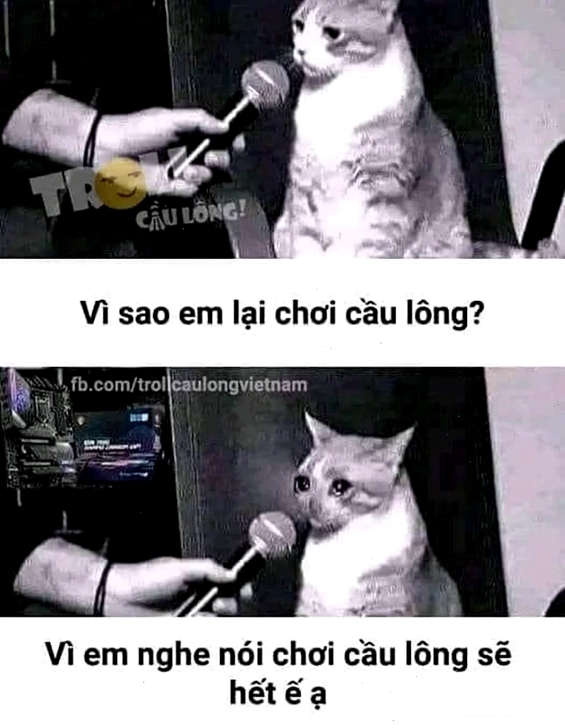 meme tổng hợp những câu nói hay của nhân vật lịch sử