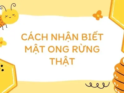 Cách nhận biết mật ong rừng thật để khỏi mất tiền oan