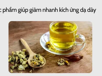 Trải nghiệm cách chọn thực phẩm giúp làm dịu dạ dày nhanh