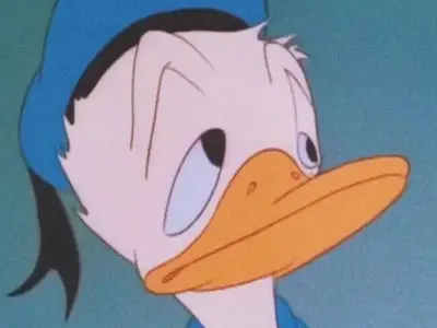 Bộ ảnh vịt donald meme lầy lội khiến ai cũng bật cười