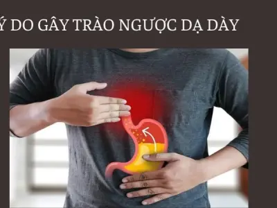 Trào ngược dạ dày cách dứt điểm cơn đau rát cổ tức thì