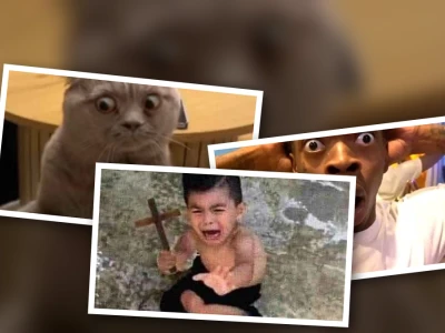 Tổng hợp bộ sưu tập meme hài hước về những nỗi sợ hãi độc đáo 2026