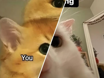 Meme Tình Yêu Hài Hước Vui Nhộn: Sự Thật Đằng Sau Những Khung Hình Ngọt Ngào?