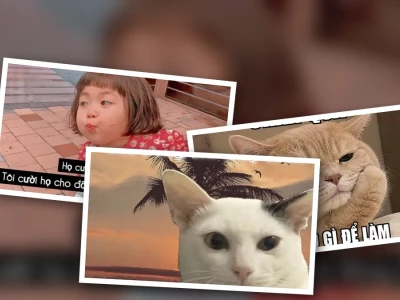 Meme tổng hợp những câu nói hay và triết lý hài hước nhất
